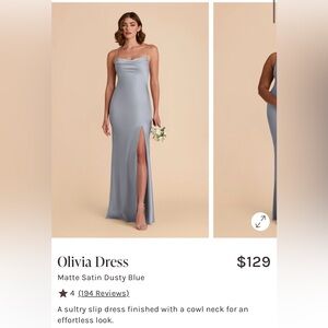 Birdy Grey Olivia Dress in Dusty Blue